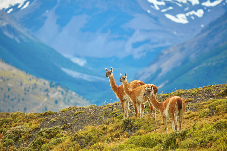 PATAGONIA for the view and the wildlife.  Support our enviornmental message.